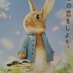 Usagi boshi