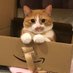 灰クロワッサン