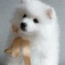 🎀フワフワわんこ🎀日々を幸せにすごしたい🎀