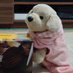 こう@北海道移住5年目