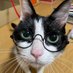 ねこぶちょう｜ネコ下僕