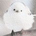鳥のマサミ