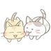 むりねこ@学生🌈