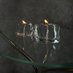Fluctuation_candle