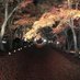 Martin_79