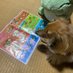 ちび猫🐶バツイチ子育て初心者🤪