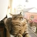 うーふあ