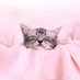 吾輩が夏目しゅんで⇆猫である
