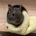 しるこ