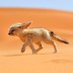 Fennec