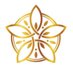 藤沢/湘南SalondePlumeria ˚✧₊⁎❝᷀ົཽ≀ˍ̮ ❝᷀ົཽ⁎⁺˳✧༚