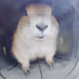 みぃ