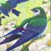 中村俺様_烏羽玉保存会_いきものづくし〜4/18