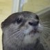 ナザンタ
