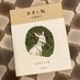 内澤旬子/新刊『カヨと私』発売中