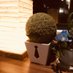 まりも しゃちょー