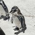 ちょばな