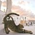 Catstail★ピヨコ