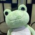 平成生まれのカエル🐸age18
