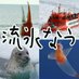 流氷なう