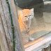 もぐもぐ