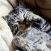 猫目石［DEAD］