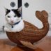 ねこくじら