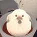 HAYASI_TW