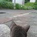 ド・アンダー
