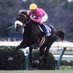 ししまる🏇💨