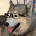 バガボンドだったYaga