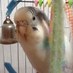 いっちー