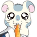 ハムキチ🐹✨