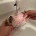 すけ