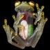 Full frog