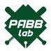プロアマ野球研究所(pabb-lab)
