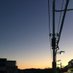 はっさく