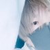 つかさっち