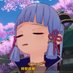 かぷちーの