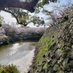 ひよくれんり