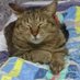 どりんく