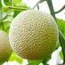 Melon＠相互フォロー/リムられたらリムり返す